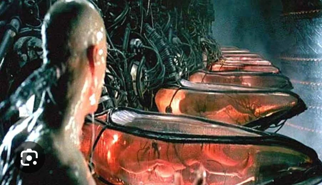 Screenshot_20230708-102826_Samsung Internet.webp