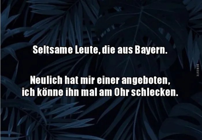 Seeeeehr-seltsam-D.jpg