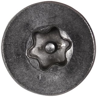 senkkopf-sicherheitsschrauben-tx-pin-edelstahl-a2-c-35x25-tx-pin-15-100-stueck_2.jpg