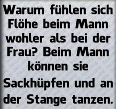 serveimage äölkj.webp