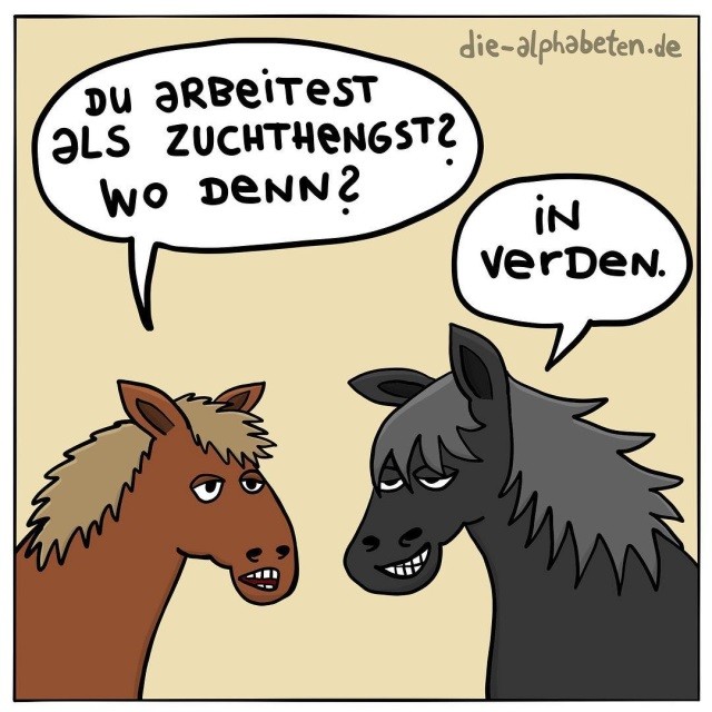 serveimage.jpg