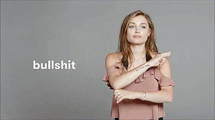 sign-language-bullshit.gif
