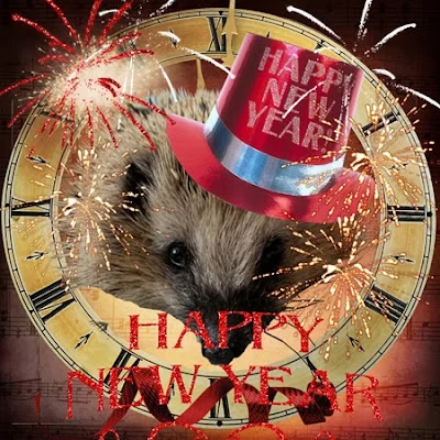 Silvester LO 1 kl.webp