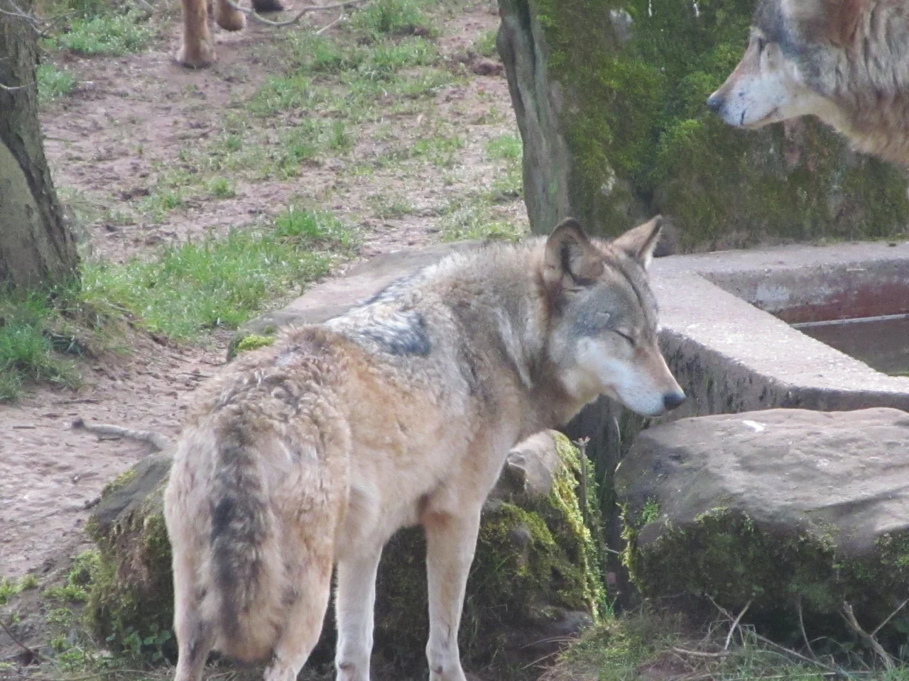 silz_wild_wanderpark 036.webp