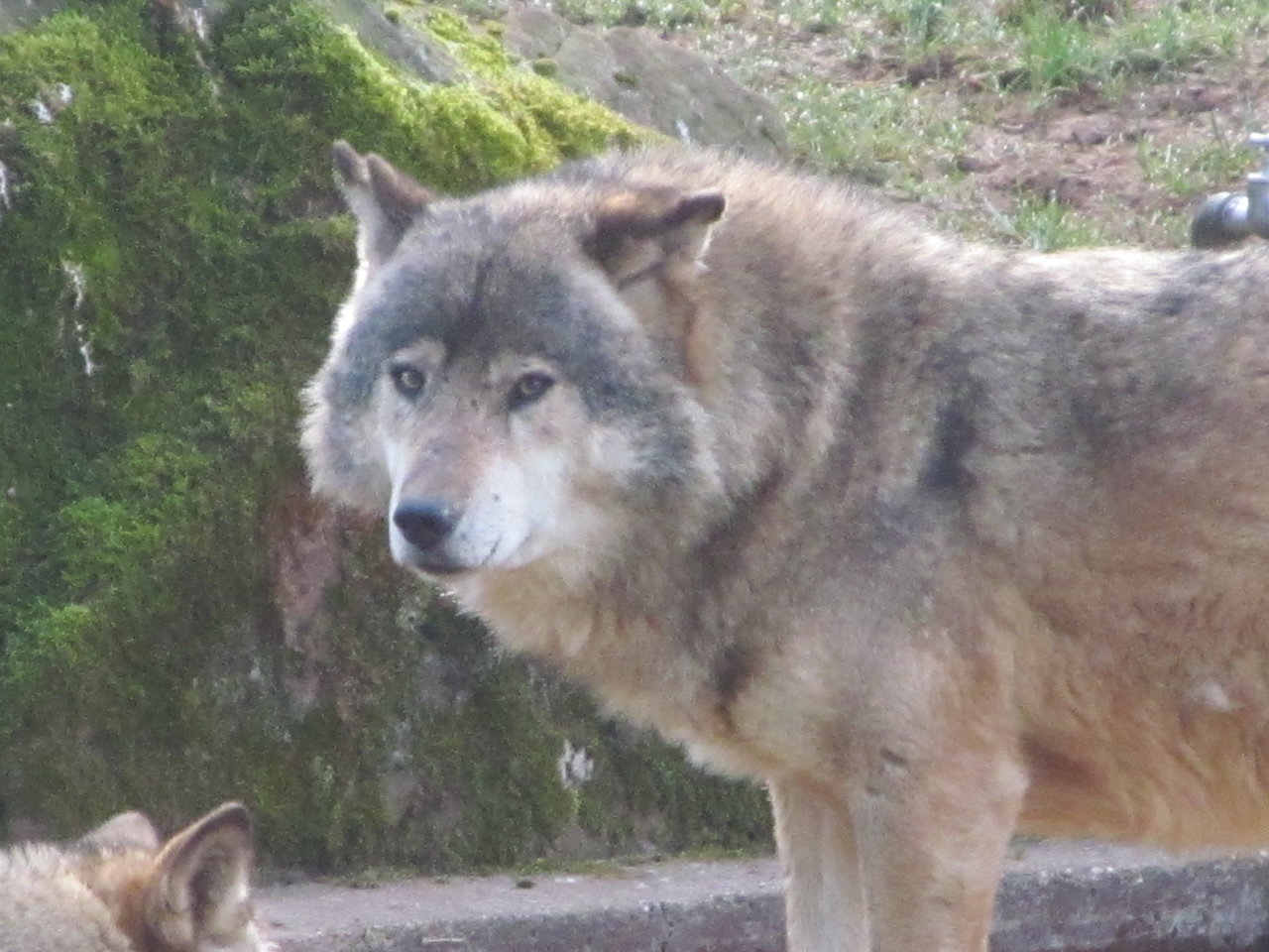 silz_wild_wanderpark 037.JPG