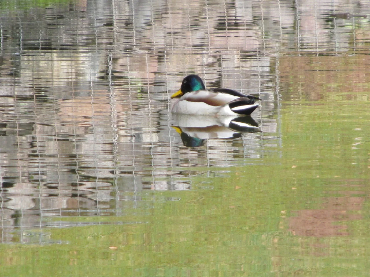 silz_wild_wanderpark 040.webp