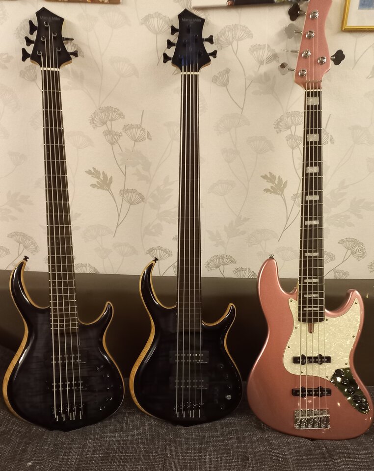 sire base guitars.jpg