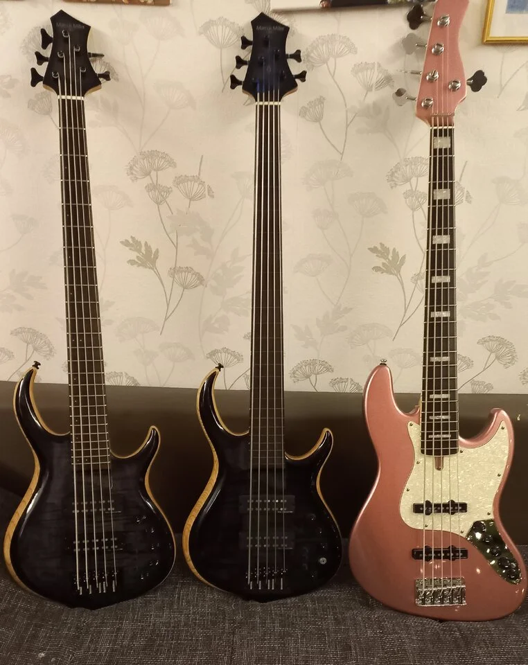 sire base guitars.webp