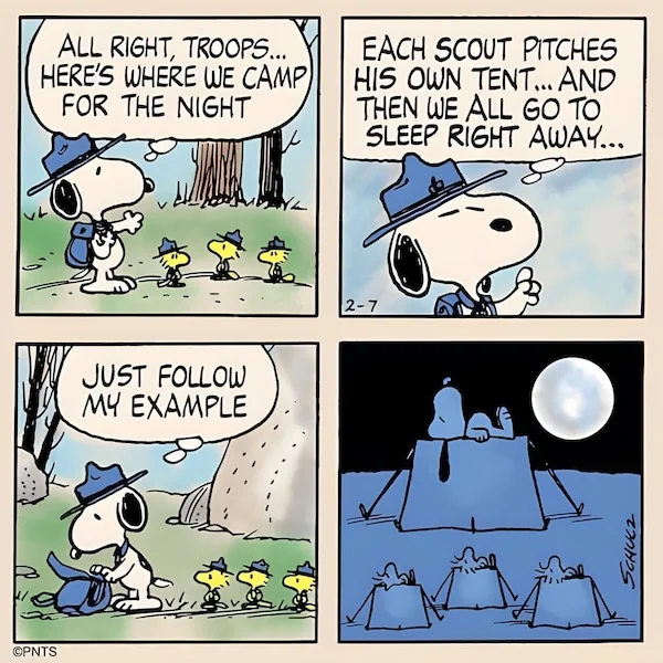 snoopy woodstocks sleep.webp