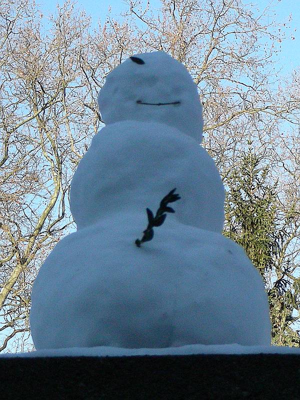 snow.jpg