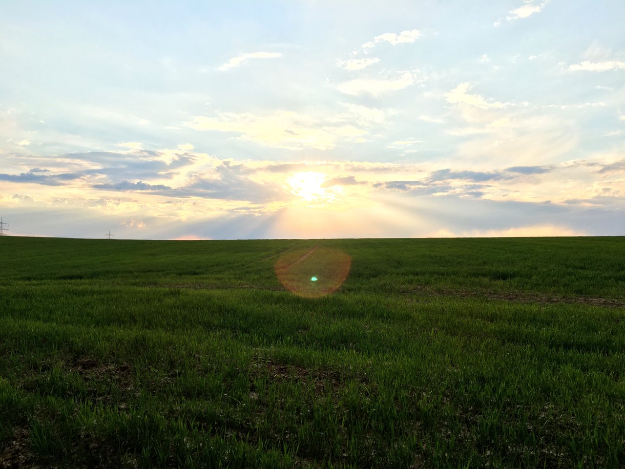 Sonne.jpg