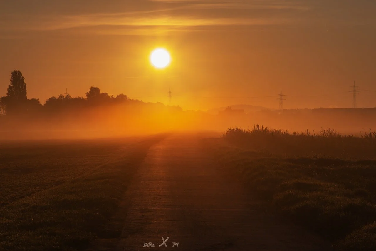 Sonnenaufgang_nebel_26102019.webp