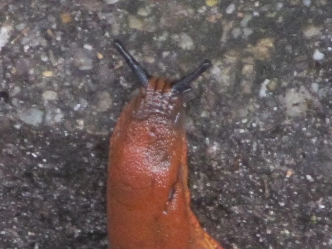 Sonstige_02102016 001.webp