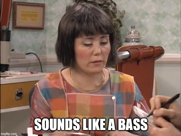 Sounds like a Bass Ms Swan.PNG