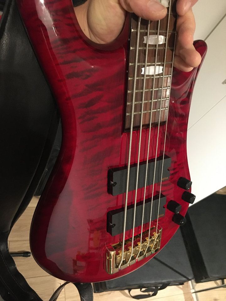 Spector 2.jpg