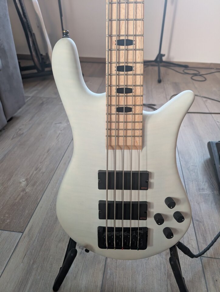 Spector (2).jpg