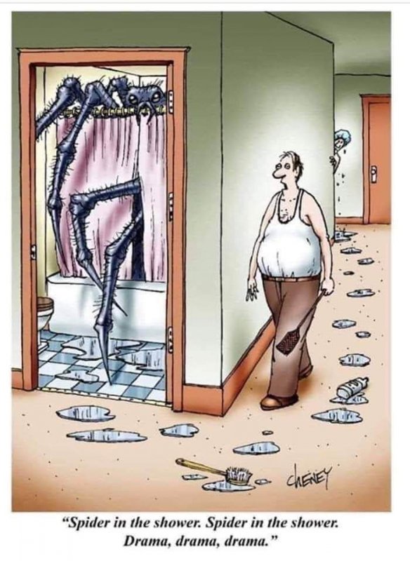 SpiderInTheShower.jpg