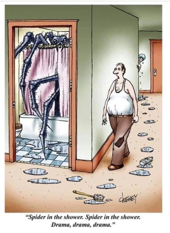 SpiderInTheShower.webp