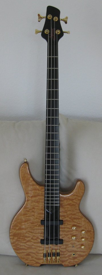 Status Bass Mark King 2.JPG