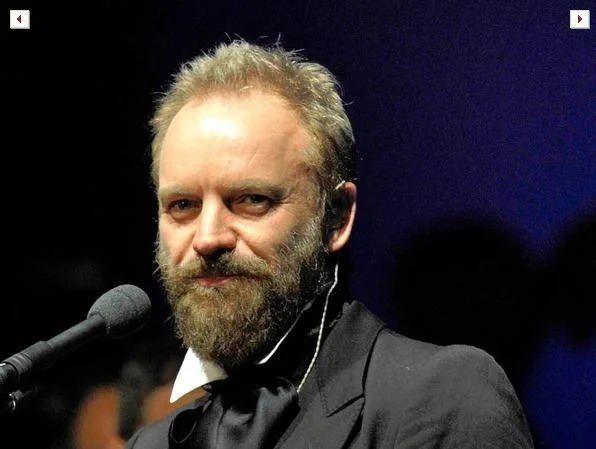 sting_2.webp