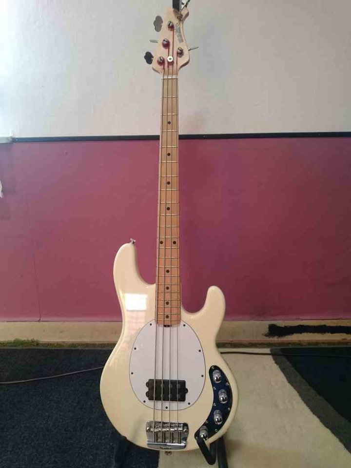 Stingray 5.jpg