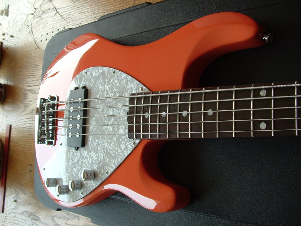 Stingray 5.jpg