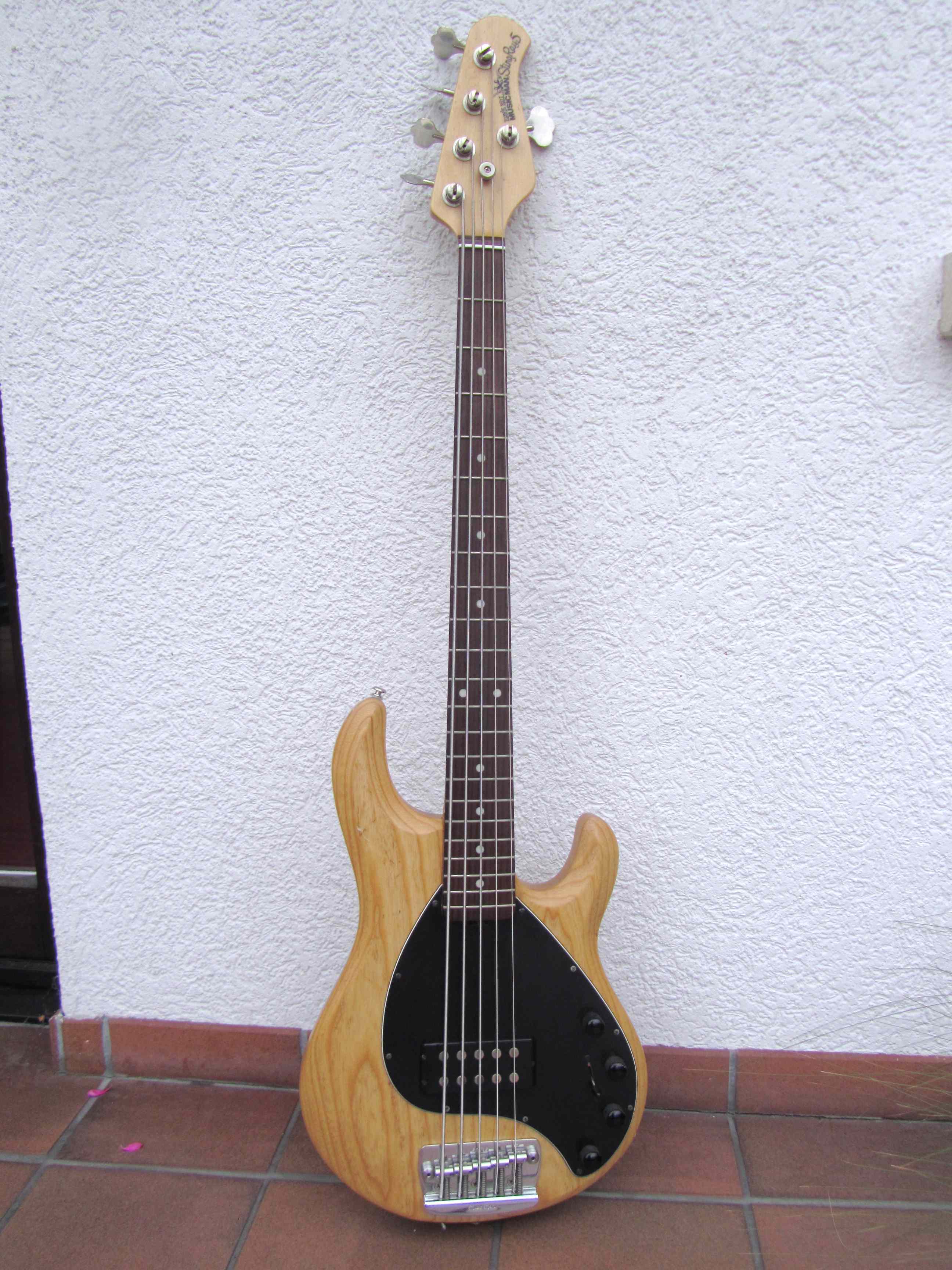 Stingray1.jpg