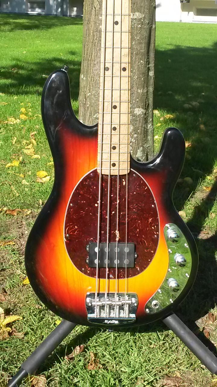 Stingray2.jpg