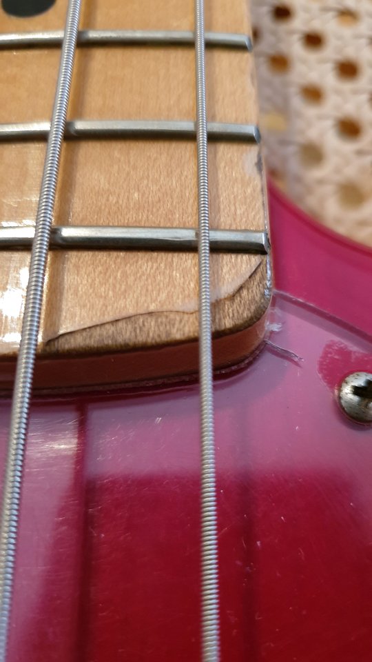 Stingray83_Halsfuss.jpg