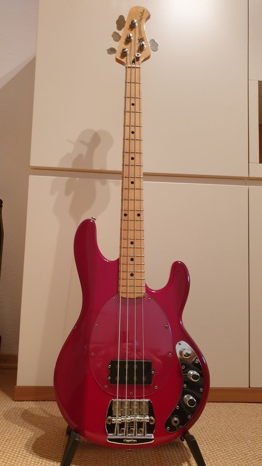 Stingray_83_.jpg