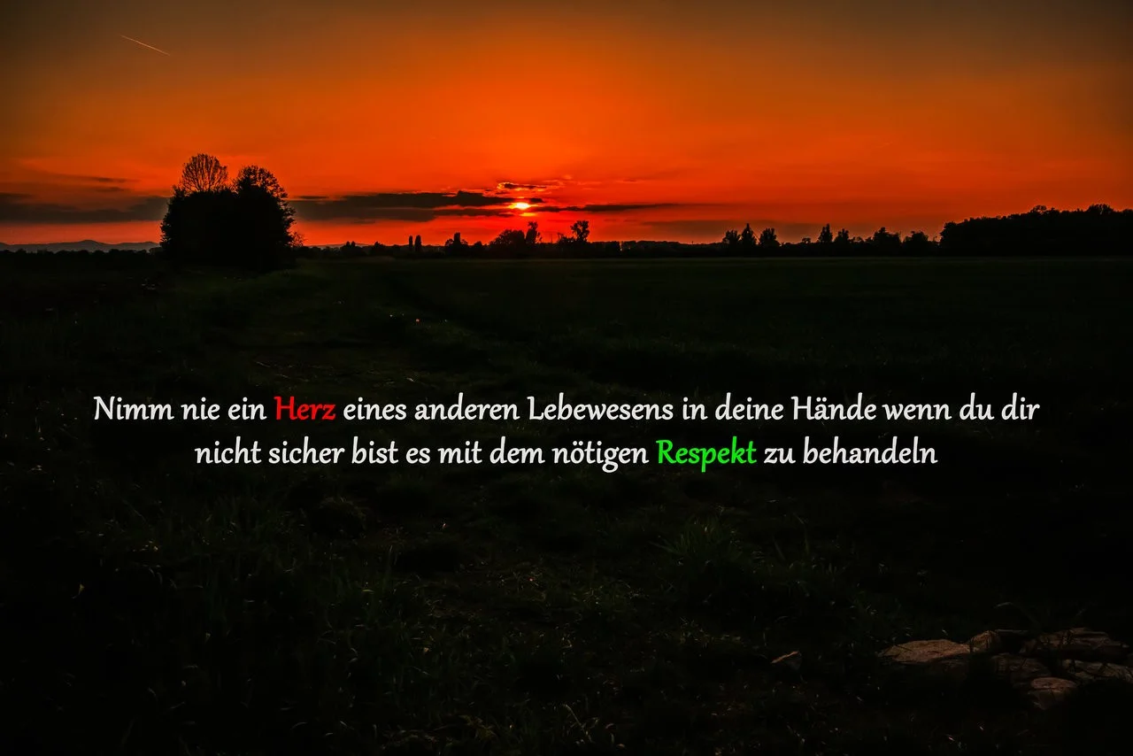 sundown_01_Herz.webp