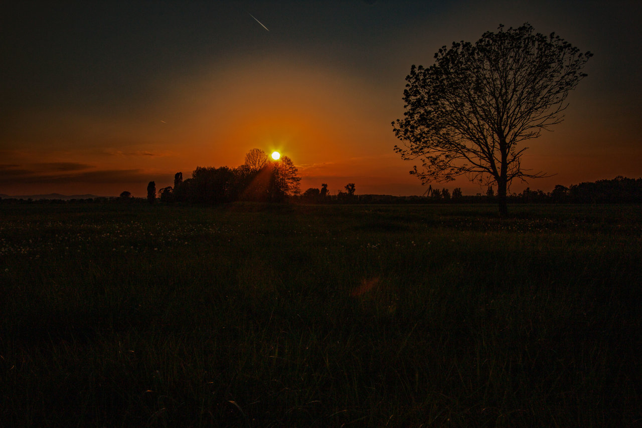 sundown_field.jpg