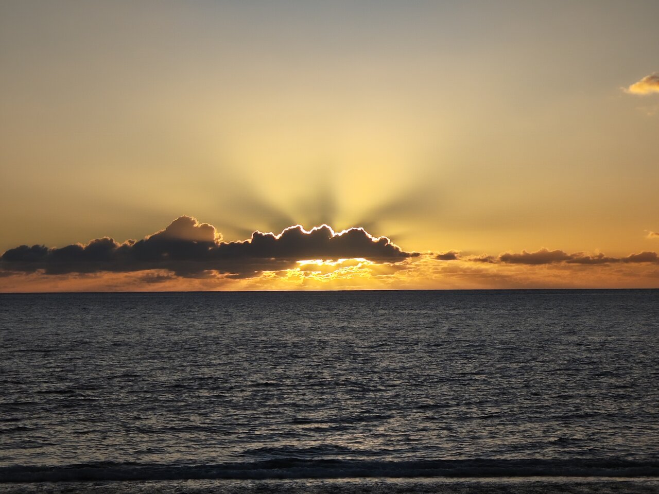 Sunn.jpg