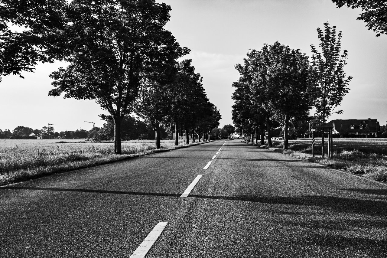 SUNRISE_25052019_04.jpg