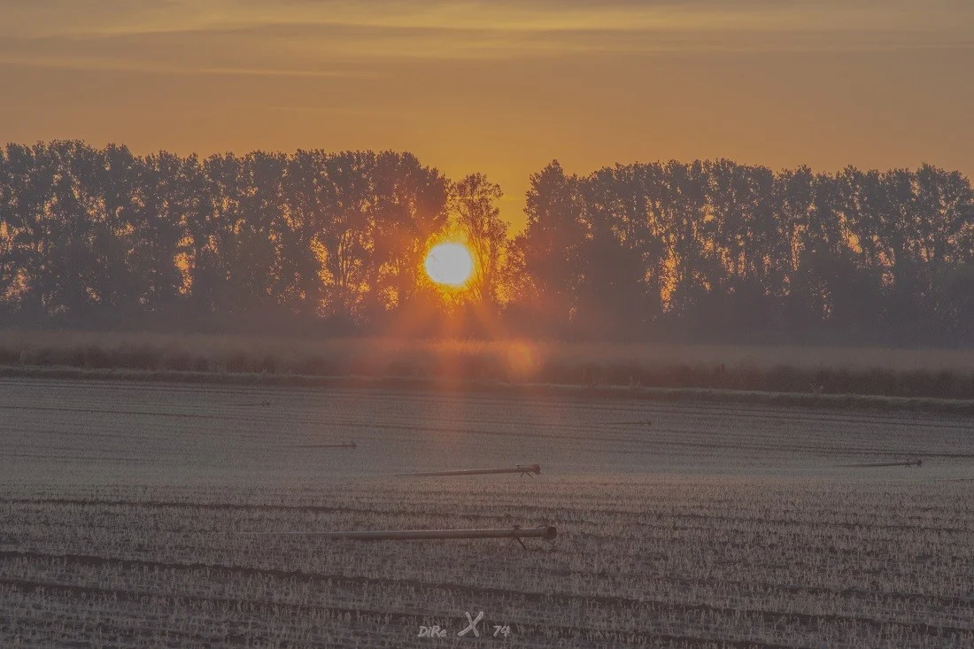 sunrise_field_26102019.jpg