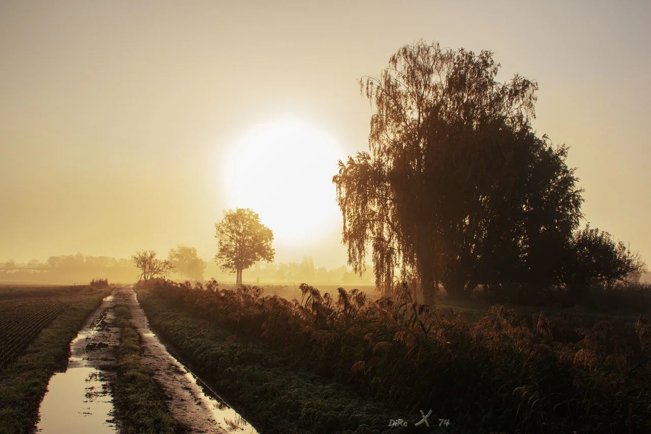 sunset early morning_14112019.webp