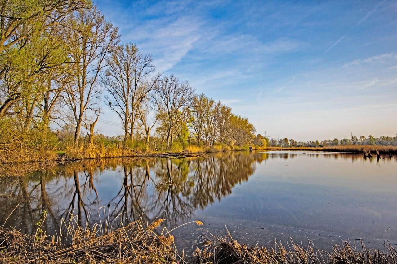 sunset_11052019_03_PS.jpg