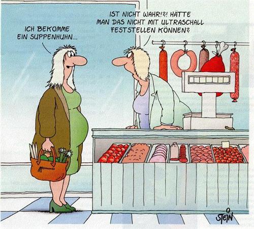 suppenhuhn.jpg