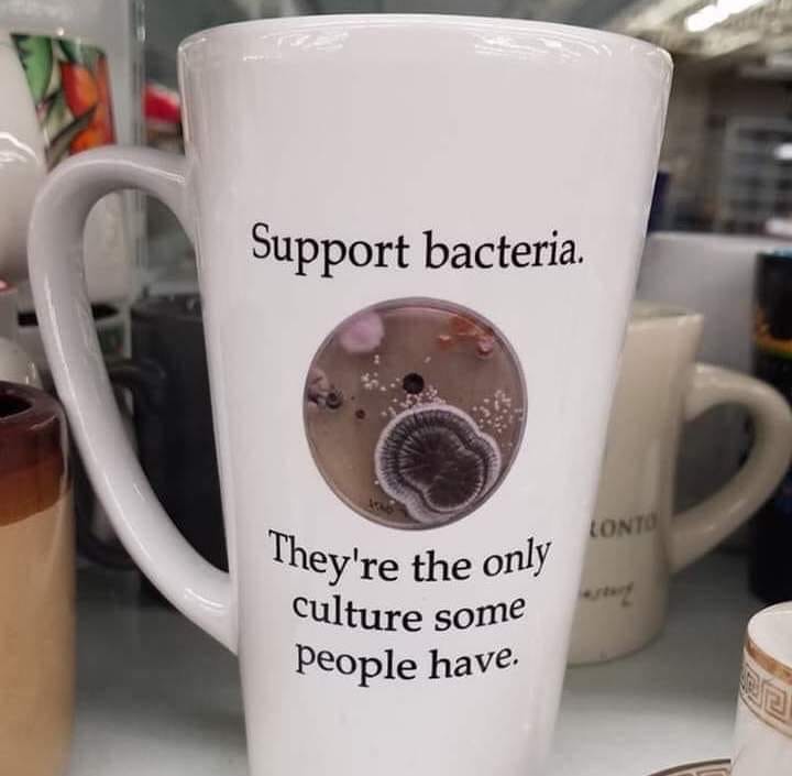 Supprt_Bacteria.jpg