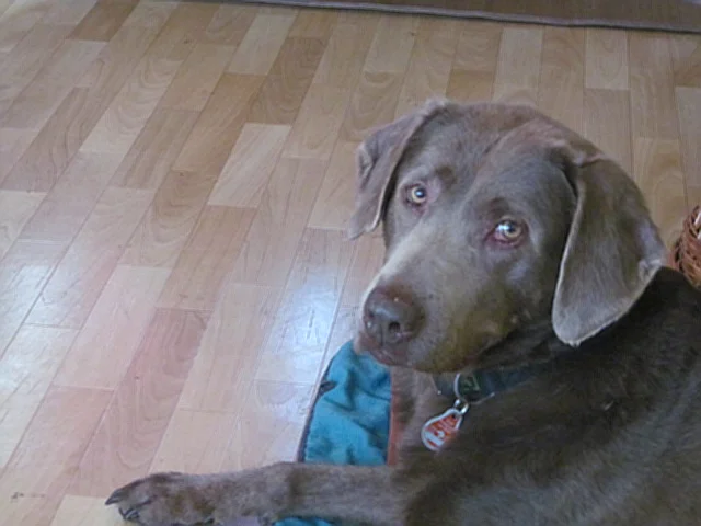 toni13032017 010.webp