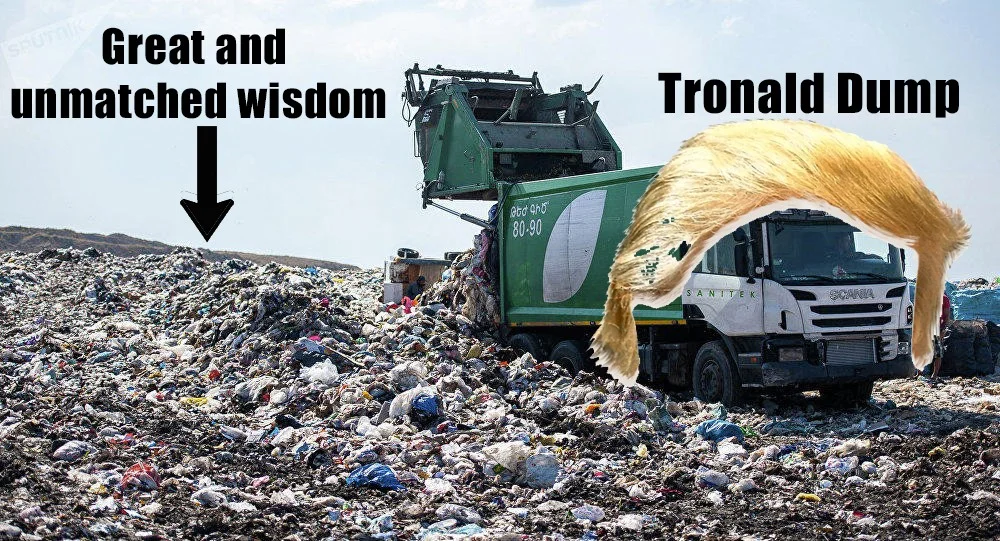 tronald dump wisdom.webp