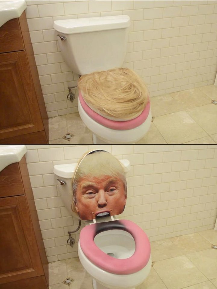 trumploo.jpg