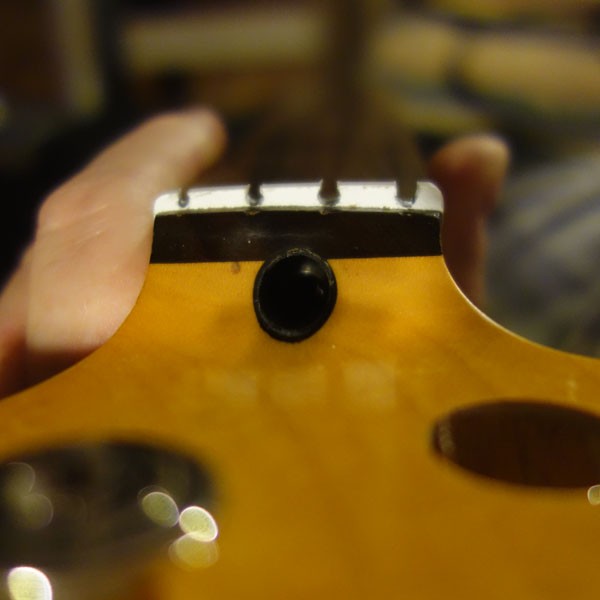 Trussrod-600x600.JPG