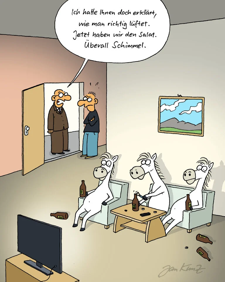 überall schimmel.webp