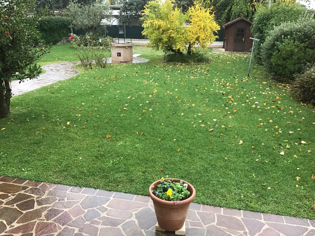upload_2018-10-28_12-53-38.jpeg