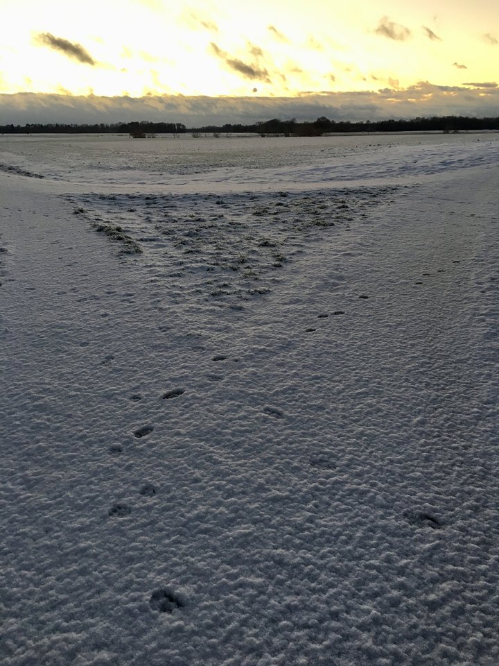 upload_2019-1-24_20-56-13.jpeg