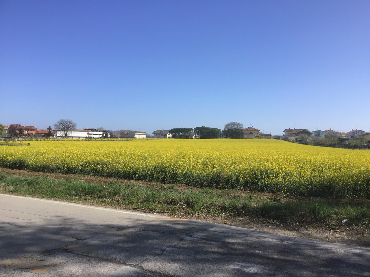 upload_2019-3-31_17-21-39.jpeg