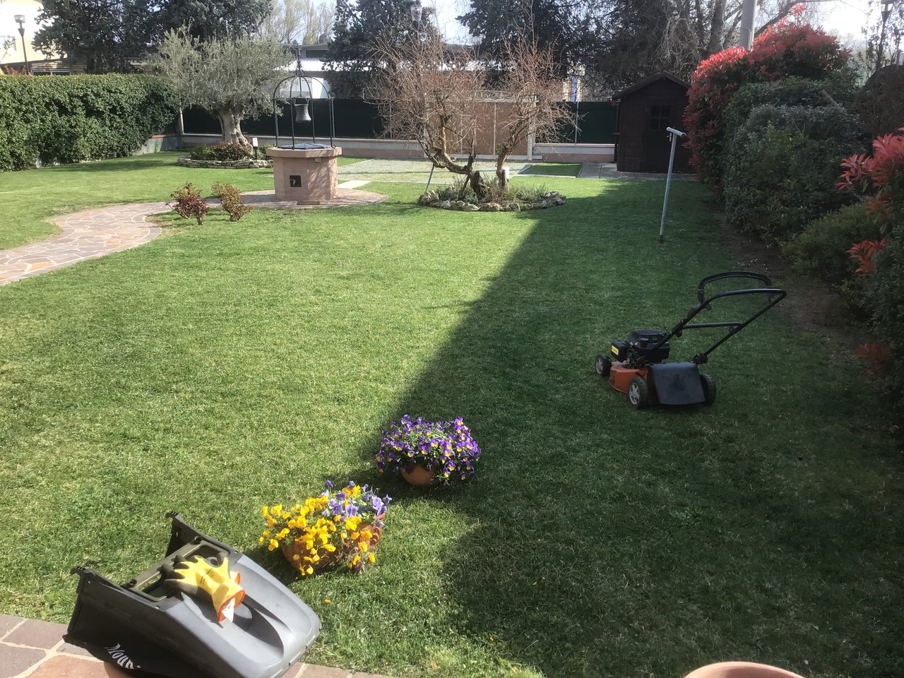 upload_2019-4-1_16-12-27.jpeg