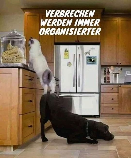 Verbrechen.jpg