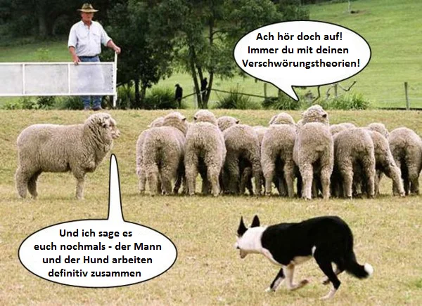 verschwörungstheorien.webp
